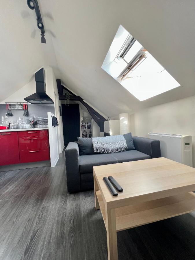 Bel Appartement Lumineux 35M2, Bord De Loire Saint-Jean-le-Blanc Exterior foto