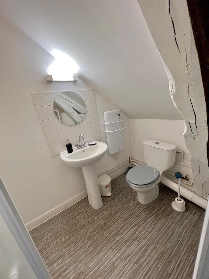 Bel Appartement Lumineux 35M2, Bord De Loire Saint-Jean-le-Blanc Exterior foto